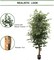 RealTouch Ficus Trio Artificial Tree - 7-Foot, 2016 Leaves, Ultra-Realistic Indoor Plant, Easy Repotting, Perfect for Home & Office Decor